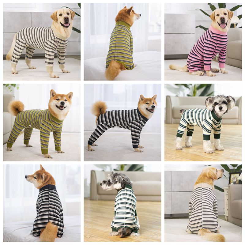 Combinaison pour chien, couverture complète, combinaison de récupération après chirurgie, body Anti-perte, pyjama clapant pour animaux de compagnie, pour petits, moyens et grands chiens
