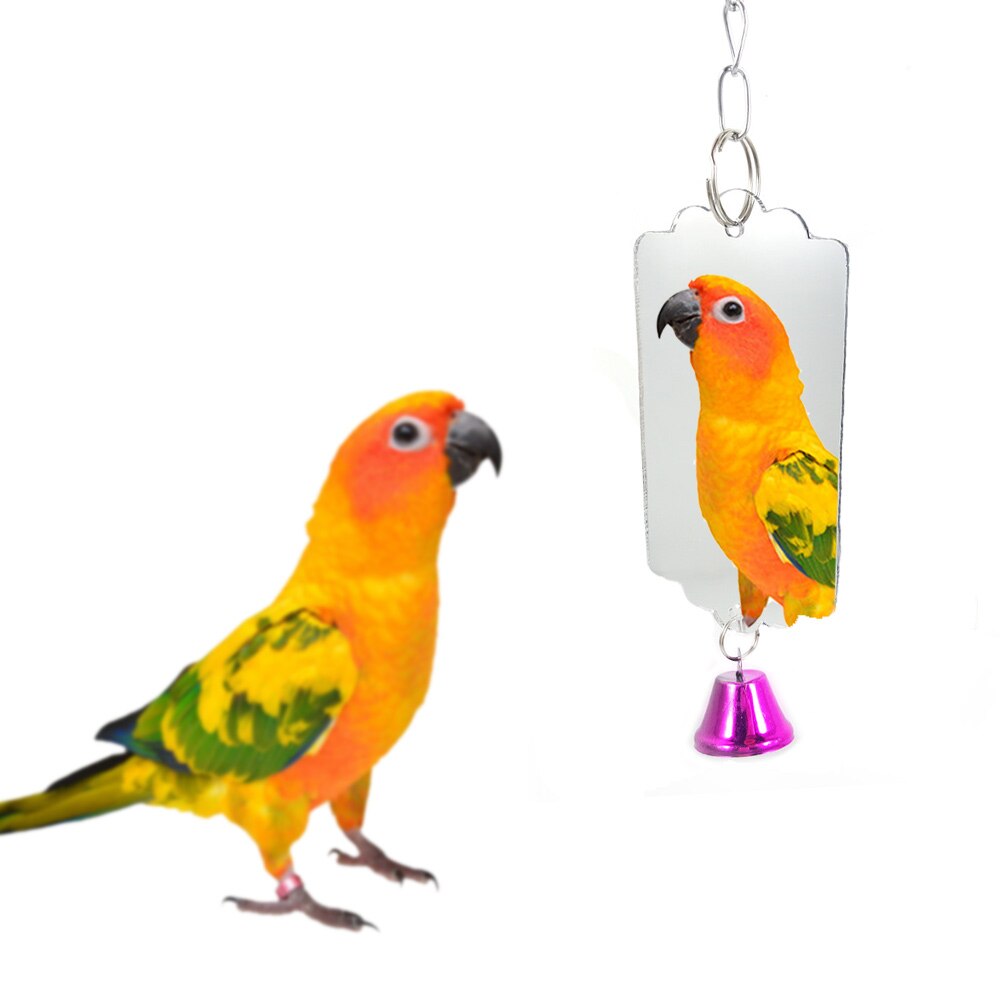 1PCS/Set 8 Style Combination Parrot Toy Bird Articles Bite Toy Bird Toys Parrot Funny Swing Ball Bell Standing Training Toys: Blue