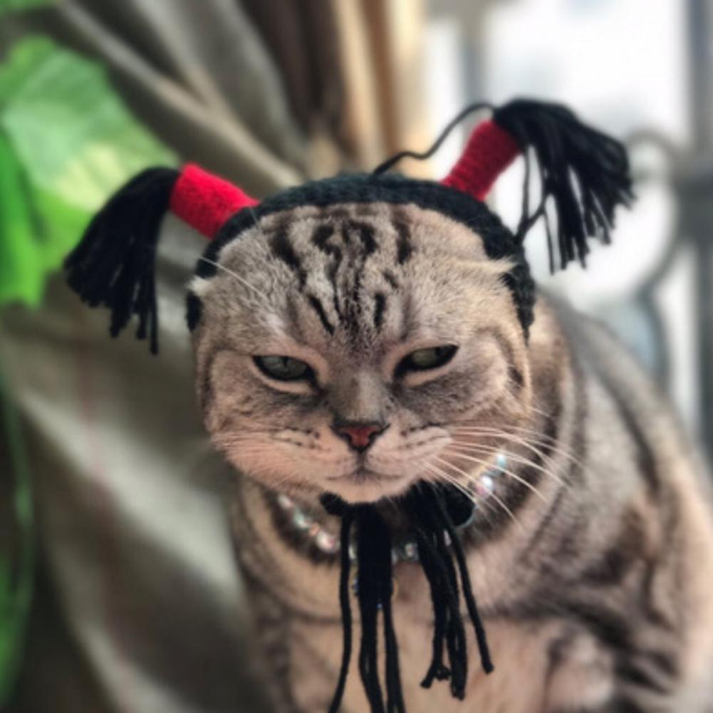 Funny Pet Cat Wig for Cats and Dogs Pet Head Costume Funny Pet Dog Cat Costume Pet Clothing Accessories