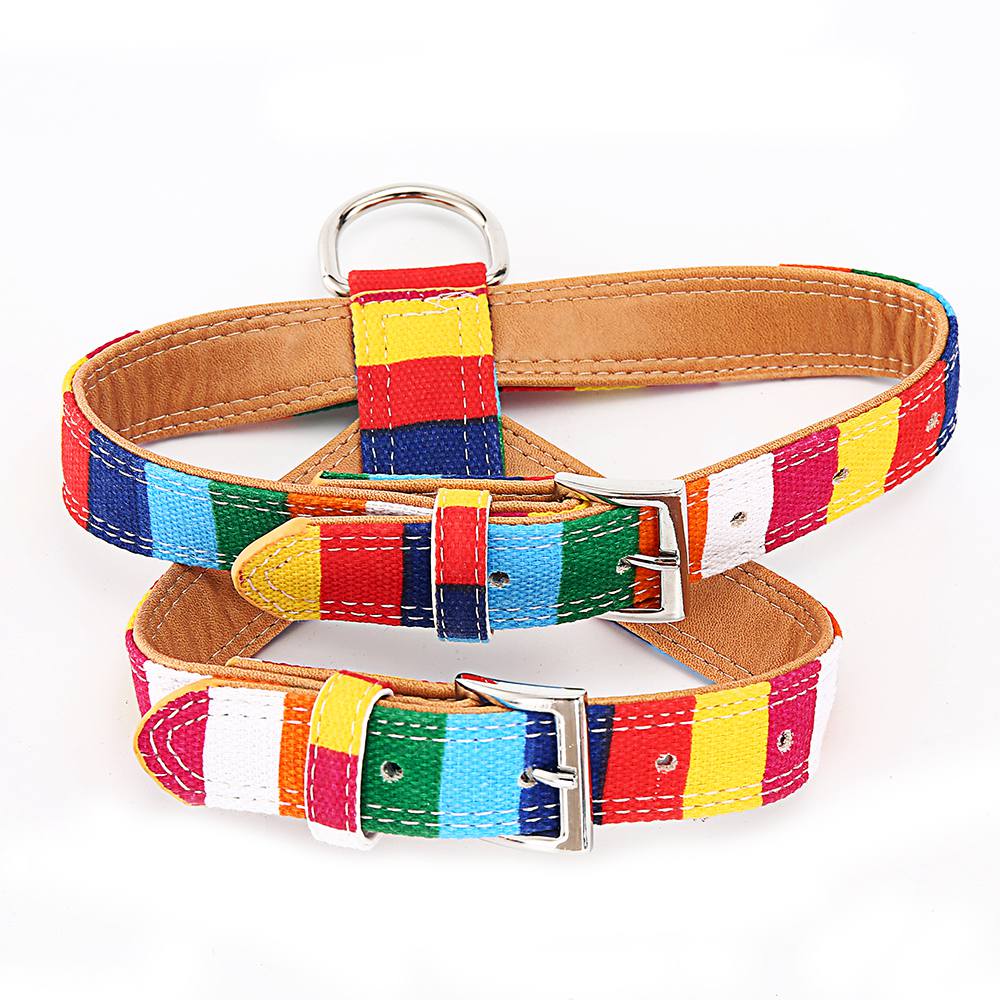 Hondenriem, kleurrijke gestreepte basis hondenriem, halsband voor honden, puppytouw, hondentuigje, chihuahua, kattenriem, huisdieraccessoires  lx0002: Kleurrijk harnas / Zoals foto's