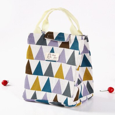 Portable Insulated Lunch Box Portable Cooler Lunch Bag Dinner Container School Food Storage Picnic Trip Cartoon Kids Women: C4  23.5X16X19CM