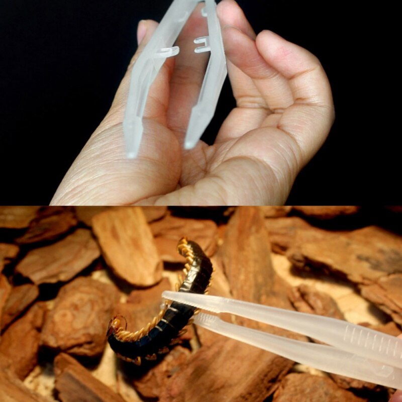 Lichtgevende Huisdier Tang Pincet Voeden Tang Voor Reptiel Slang Lizard Spider Amfibieën Slang Schildpad Cricket Voeden Benodigdheden