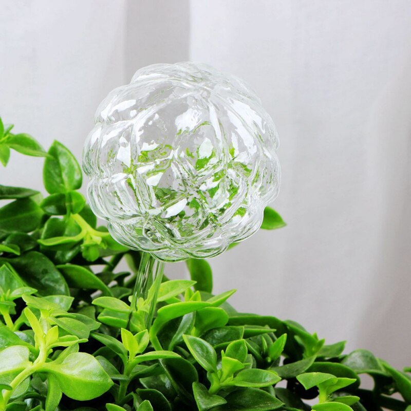 verre portable plante fleurs distributeur d'eau auto-arrosage oiseau plante abreuvoir 5 Types décor canettes d'eau: Sphere