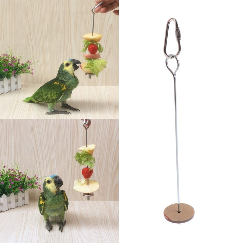 Support de nourriture pour perroquets oiseaux, brochette à viande en acier inoxydable