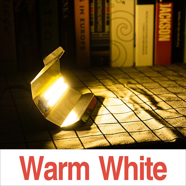 Led kweekverlichting volledig spectrum 30w 50w 80w led fytolamp  ip65 220v fitolamp voor binnenkas plantengroeilicht fitolamp: Warm wit / 50w 220v