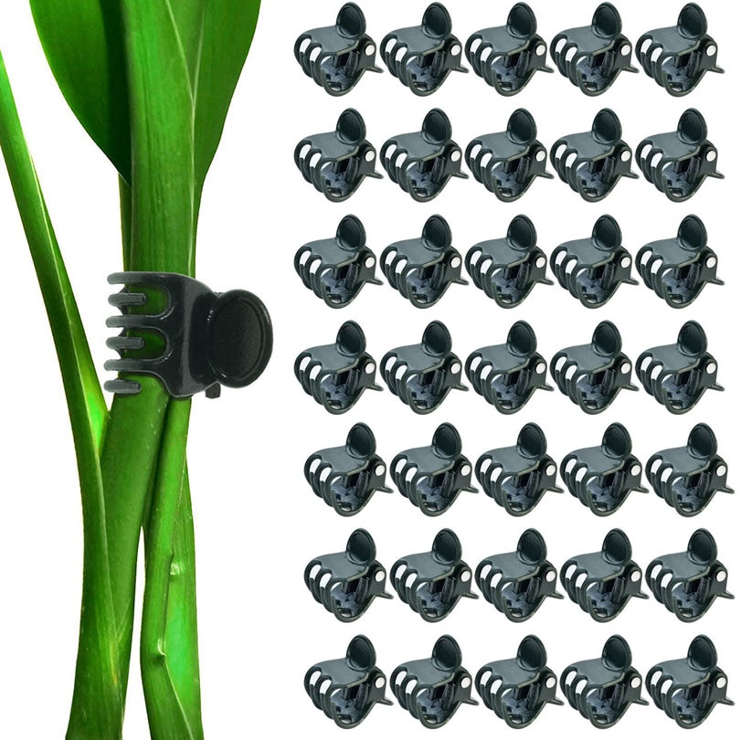 Gartenpflanzenklammern, Pfropfklammern, Stützklammern, gebundene Rankenklammern, Blumen, Obst, Gemüse, Schmetterling, Orchidee, spezielle Clips