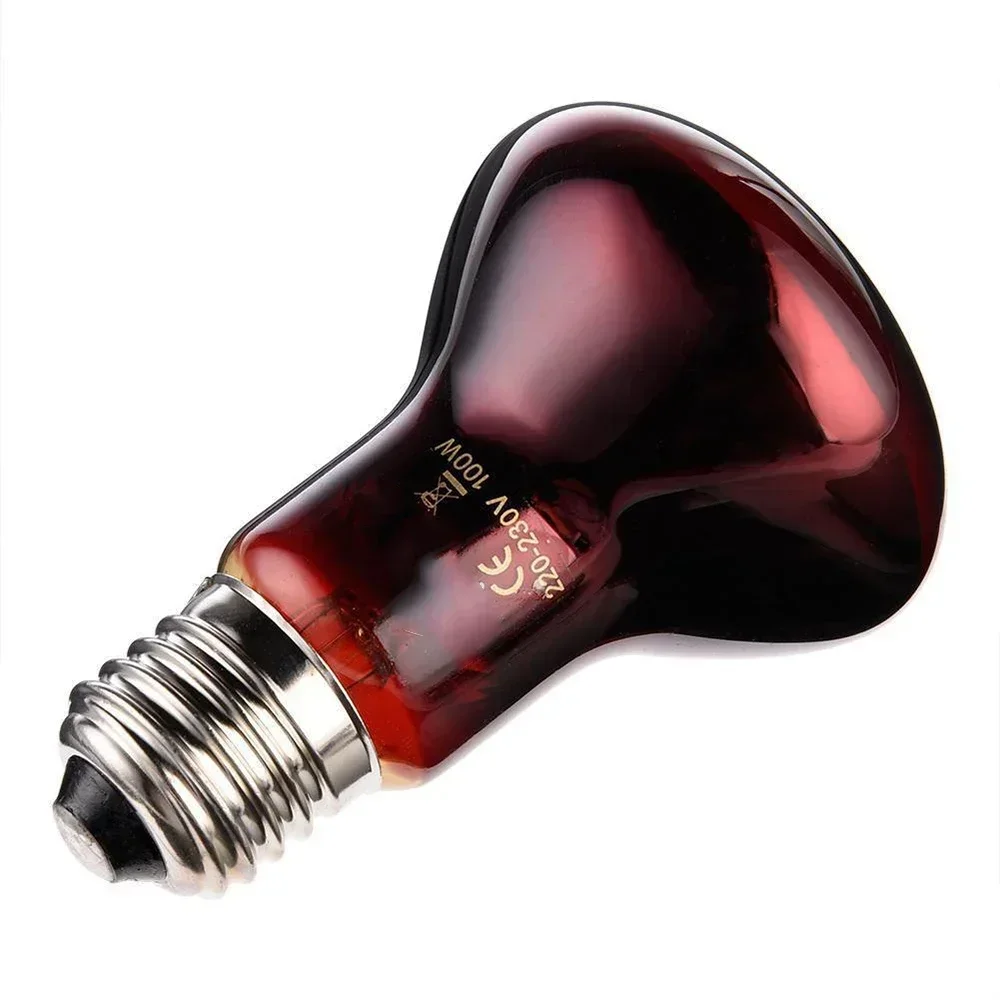 220V UVA Amfibische Rode Verwarming Lamp 25/40/50/75/100W Infrarood lamp Glazen Lamp Accessoires voor Reptielen Slang Hagedissen E27 Lamp