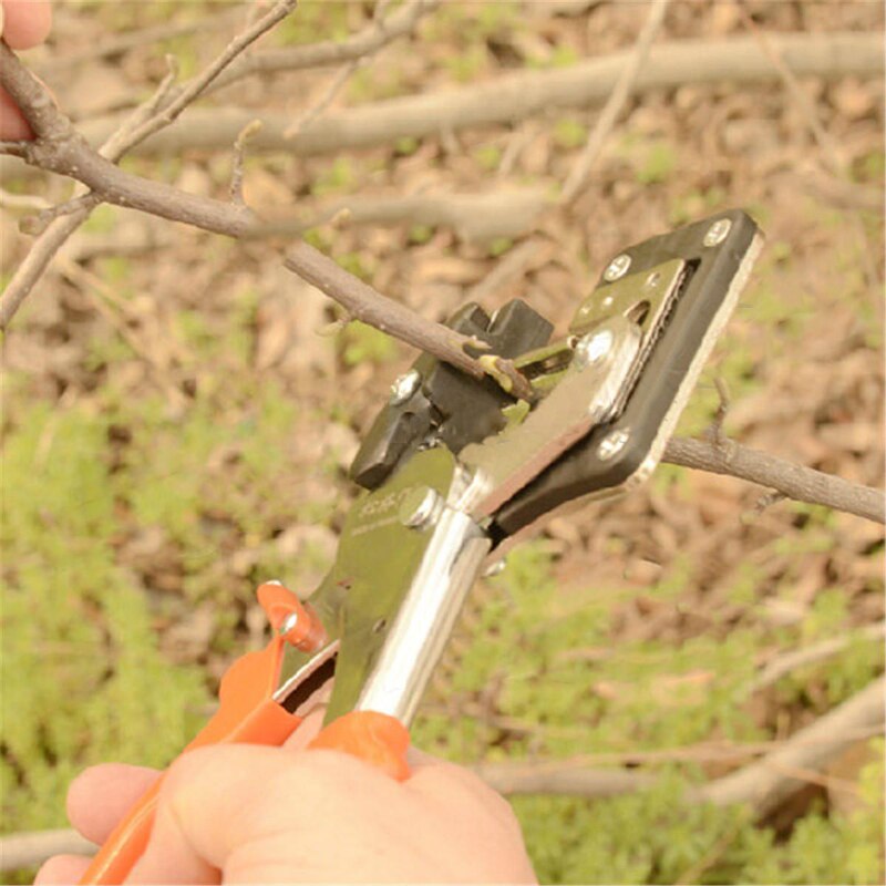 Fruit Tree Pro Engraft Carbon Steel Pruning Scissor Grafting Cutting Garden Tools