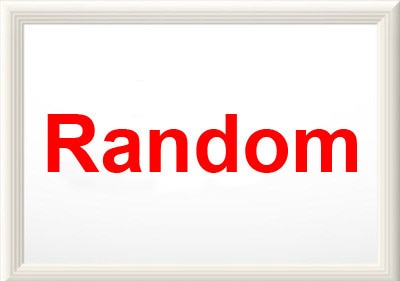 Bavaglini per neonati, bavaglini ricamati per neonati, 5 pezzi, cotone, bavaglini per neonati, accessori per neonati: casuale