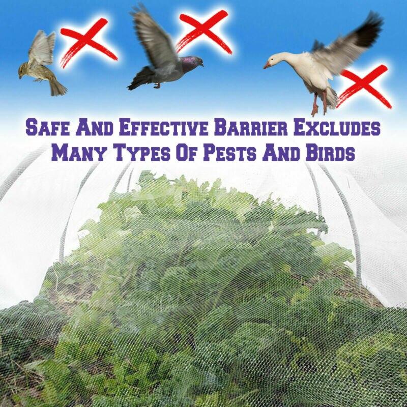 Anti fuglenet havenetnet kommercielt frugttræ dam beskytter dækning klatringsnet til havearbejde / grøntsagsbrug