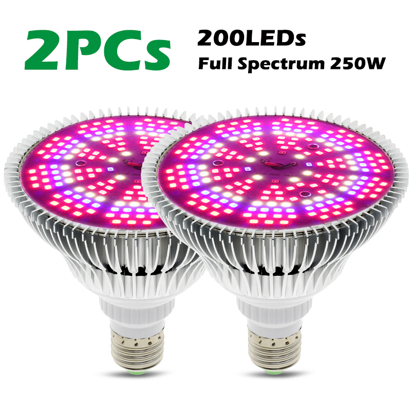 Phyto-lampe LED pour culture hydroponique de légumes, E27, 250W, éclairage à spectre complet pour plantes à floraison, SMD2835: Full Spectrum 2Pcs