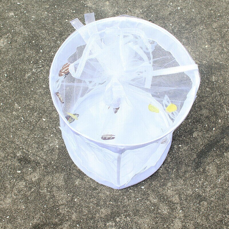 Insect Observation Box White Insect Breeding Cage Folding Habitat Net Butterfly Wedding Mesh Practical