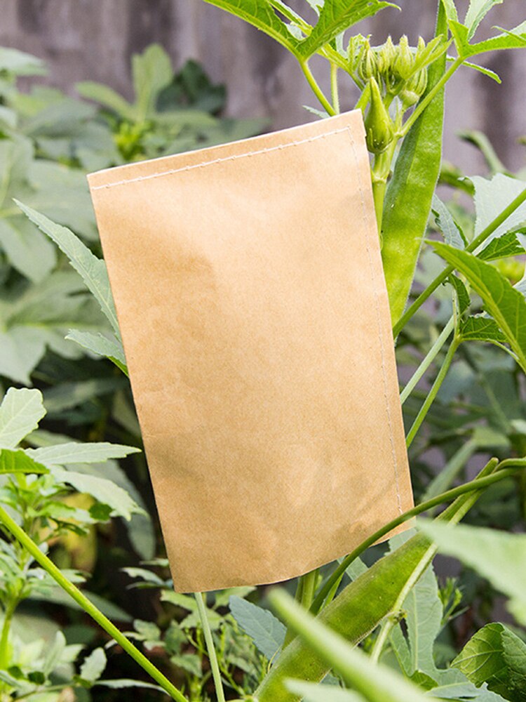 100 Pieces Seed Packets Kraft Paper Store Seeds Wildflower Bags Flowers Crops Storage Sack