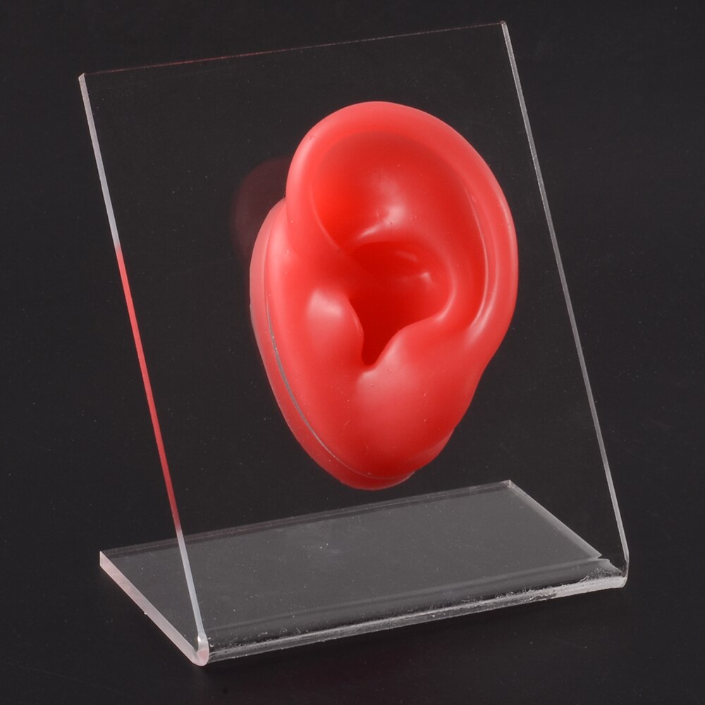 Modello di naso dell&#39;orecchio in Silicone con bordo trasparente pratica professionale piercing strumenti orecchini orecchini a bottone Display può essere riutilizzato gioielli: Red Left