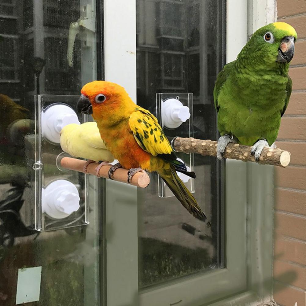Fugle papegøje træ stående stick rack sugekop brusebad aborre bar stang badning legetøj kæledyr levering