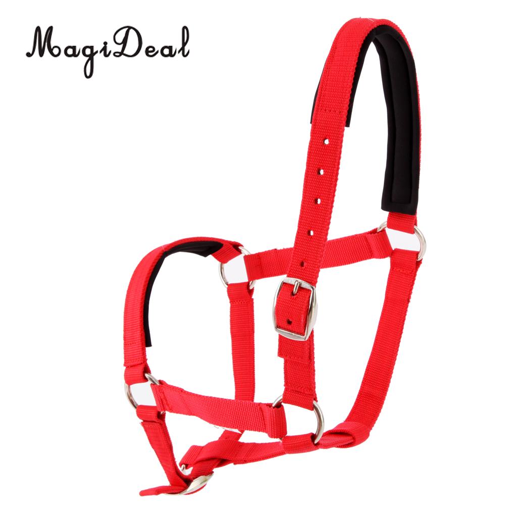 Adjustable Equestrian Western Horse Halter Fits 130cm - 165cm Horse Black/Blue/Red