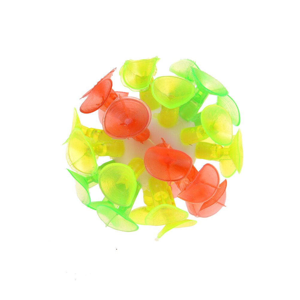 Grappige Kleverige Bal Spel Met 32 Zuignap Outdoor Activiteit Game 2 Ronde Vleermuizen
