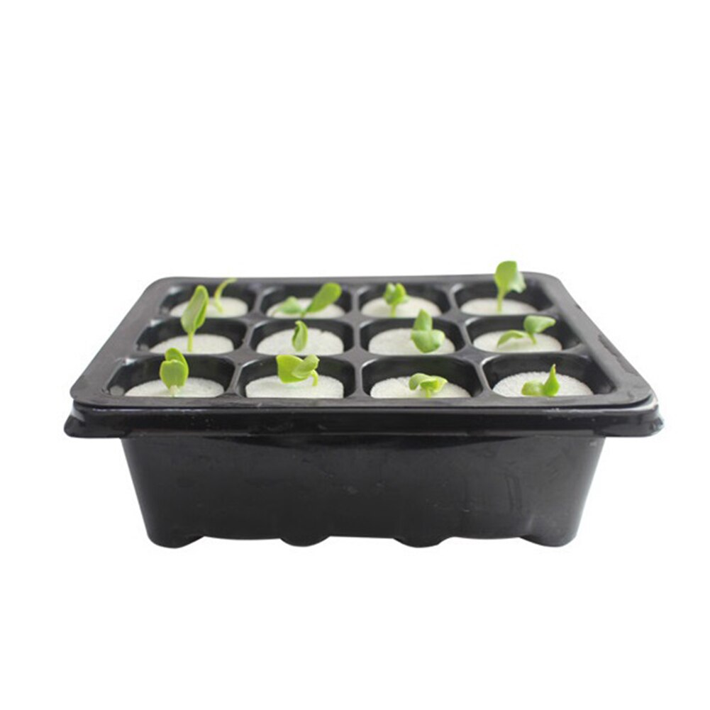 12 Hole Tray Sowing Insulation Breeding Box +Planting Sponge Cloning Equipment 1*Trays 24*Planting Sponge