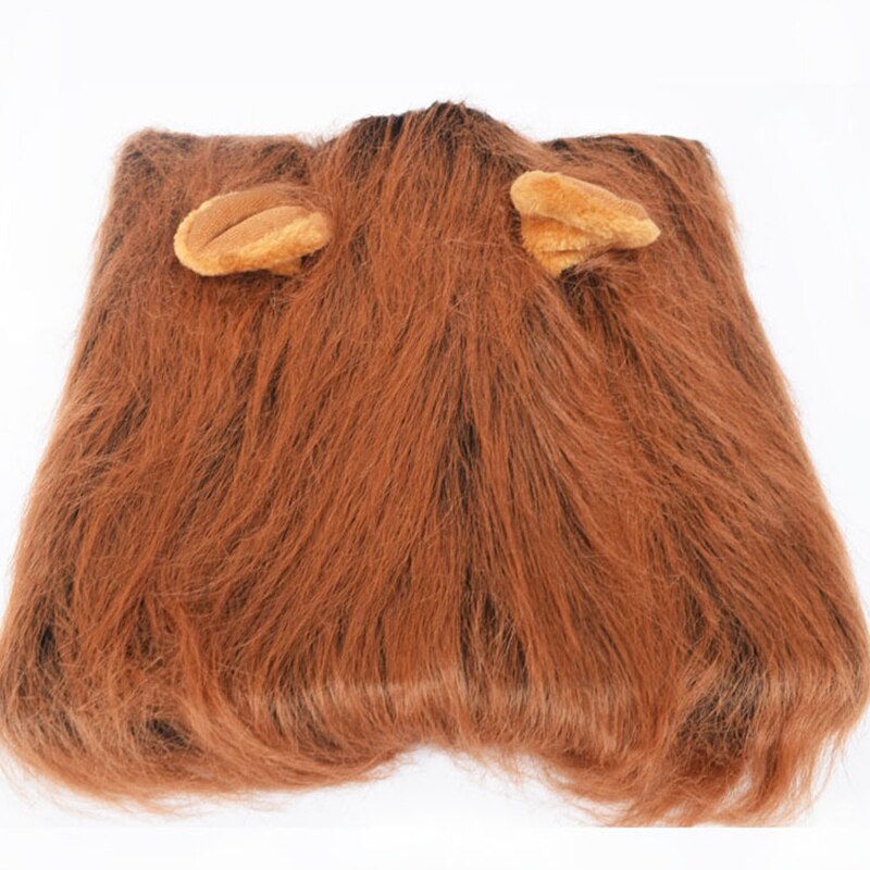 Costume de Lion pour chien sauvage Golden Retriever, chapeau, collier, couvre-chef, accessoires de Photo pour animaux de compagnie