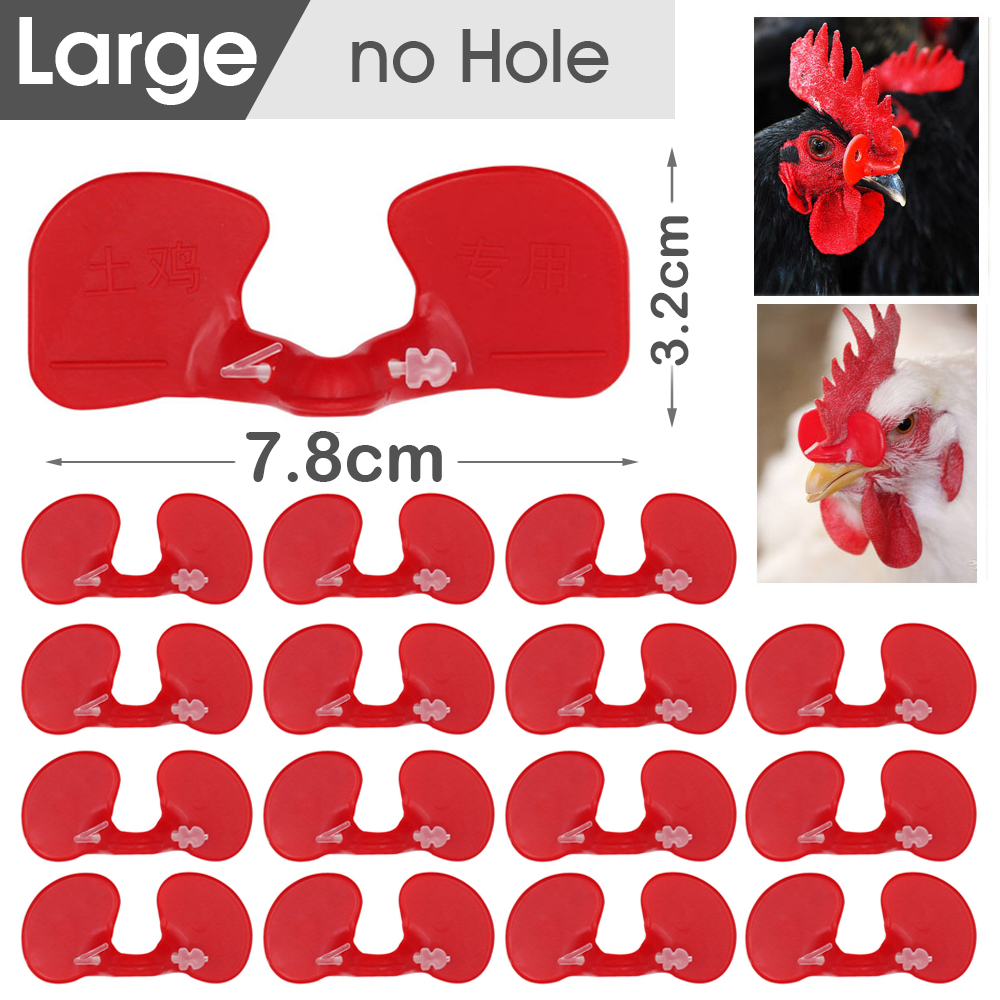 Red Chicken Glasses Plastic Pheasant Anti-pecking Goggles Glasses with Bolt Protect Eyes Feeding Farm Poultry Hens accessories: XS / green