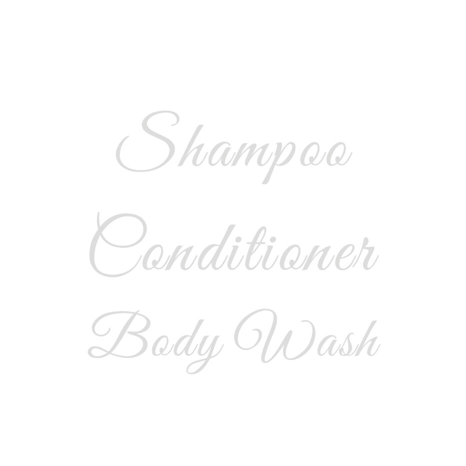 Etiquetas impermeables para champú, dispensador de jabón, pegatina para botella, ducha, Baño: 1 set silver labels