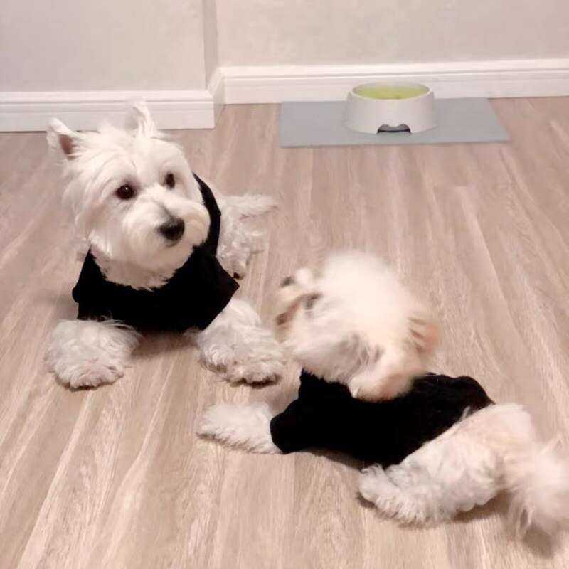 Hondenkleding voor kleine honden, lente zomer, korte mouwen, schnauzer, yorkie, teddy, pomeriaan, corgi, mopshond, gkc 19