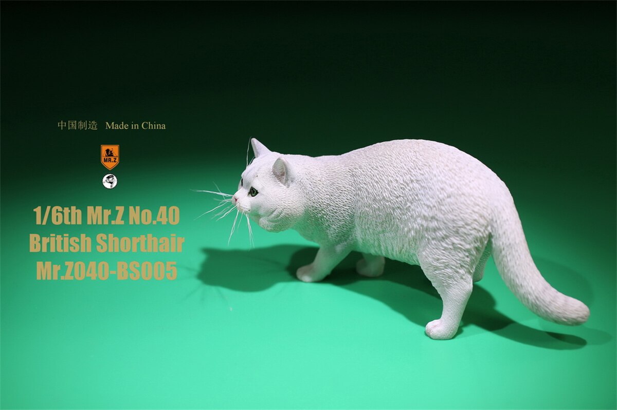 Mr.Z Studio 1:6 British Shorthair Cat Figure Cute Pet Animal Model Collector Toys Gfit Simulation Home Decoration Unisex: 005