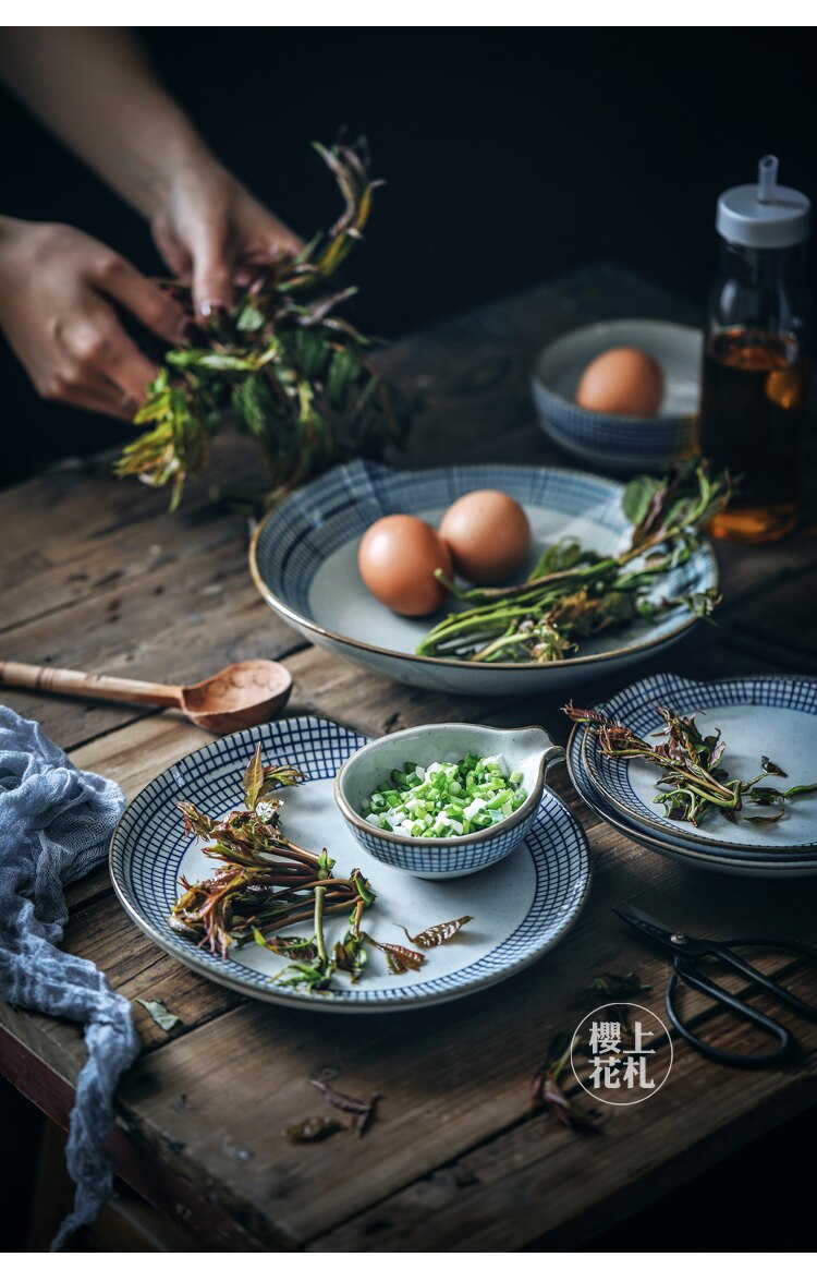 Keramische Schotel Plaat Handgeschilderde Diner Plaat Japanse Stijl Plaid Soep Plaat Salade Retro Creatieve Servies