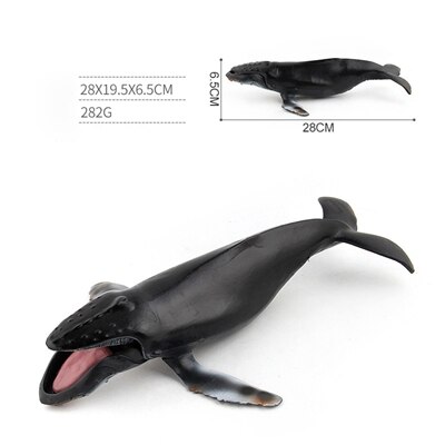 Classic Toys Whales Blue Whales Marine Animal Models Undersea Creatures Killer Sharks Whales Series Whale Toys: F