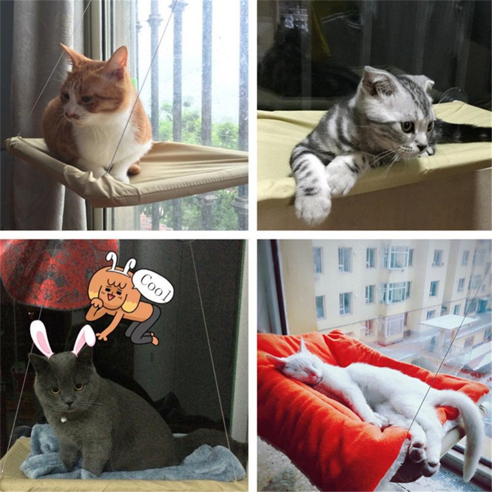Hamac pour animaux domestiques | Siège monté sur fenêtre pour chat, ventouse de maison, tapis de lit suspendu, fournitures pour chats chaton, lit confortable pour chat et animal de compagnie