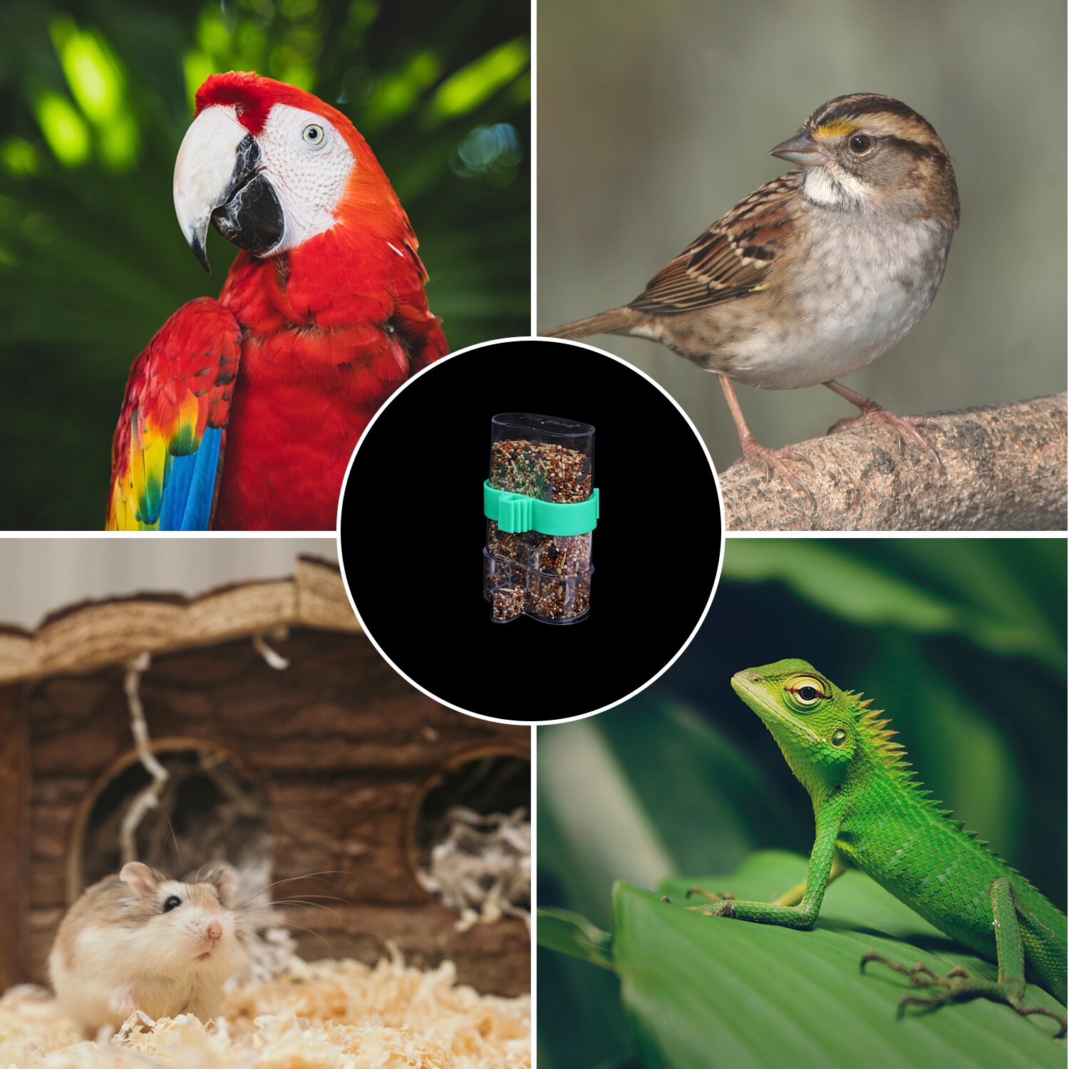 Automatic Bird Feeder for Cage Dry Food Dispenser Bird Seed Food Water Feeding Feeder Dispenser for Parrot Bird Squirrel