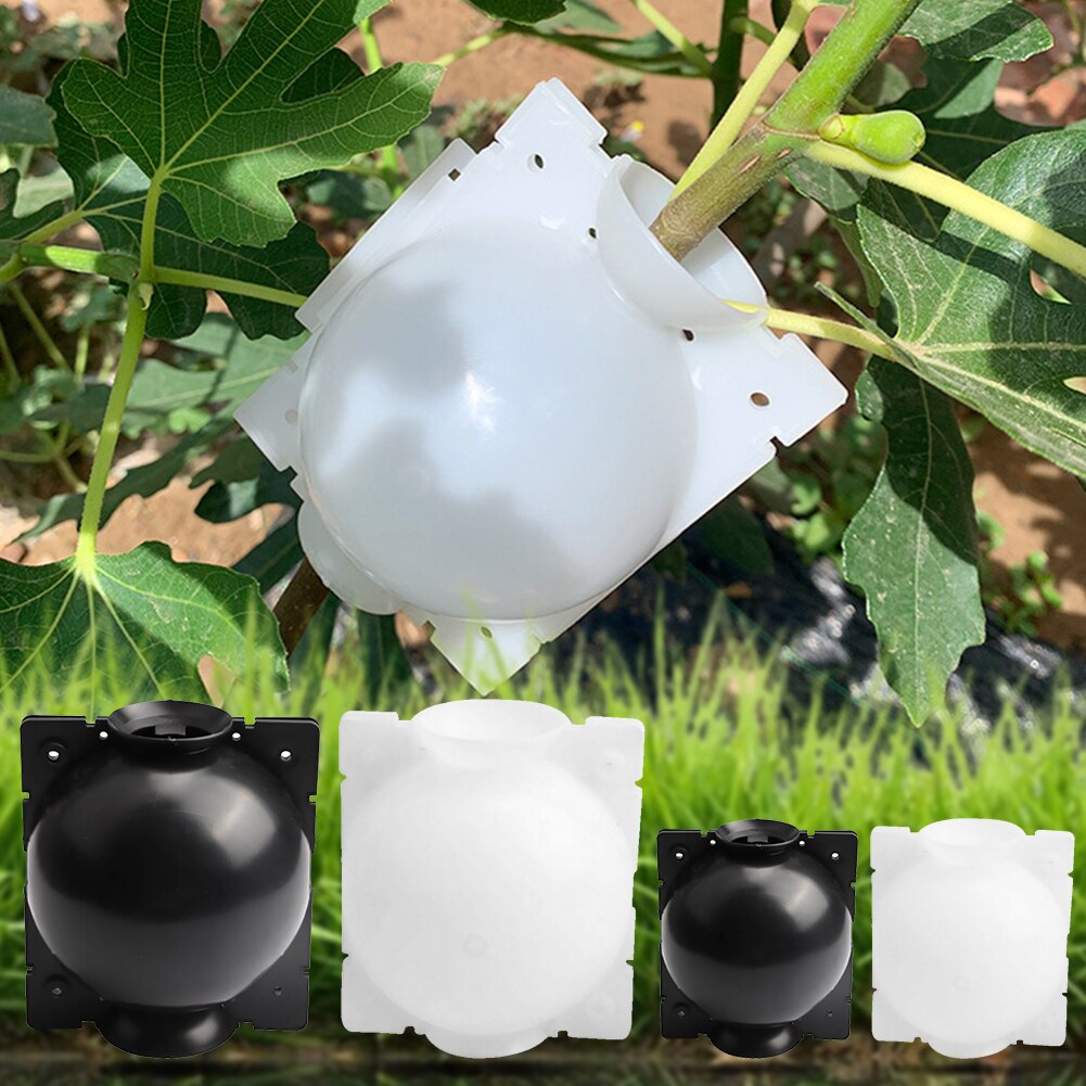 5Pcs Plant Rooting Box Plant Rooting Growing Box Case Plastic Flower Growing Container Plant Rooting Equipment Nursery Box