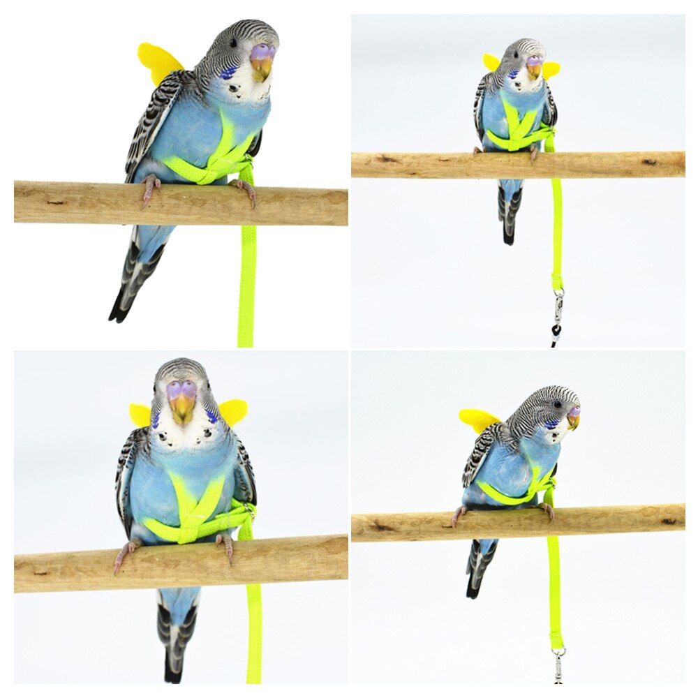 1pc Bird Harness Training Safe Bird Strap Bird Harness Bird Leash Bird Rope for Mynah Budgerigar Parrot