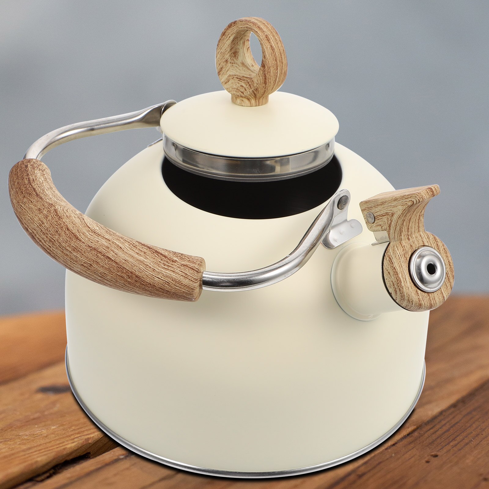 Hervidor de agua de acero inoxidable, tetera para hervir agua, práctica, silbante