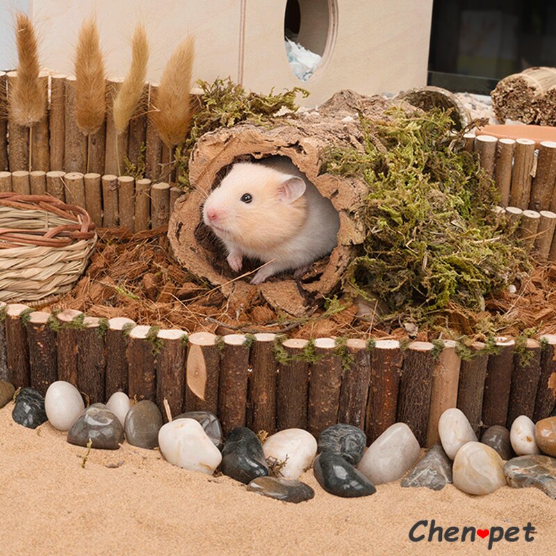 Juguete para mascotas pequeñas, hámster, puente de escalera de madera, loro, Pájaro de pie, conejillo de indias, Chinchilla, ejercicio, juguetes para masticar, decoración de jaula