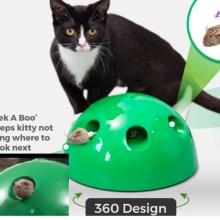 Cat Scratching Device Funny Traning Cat Toys