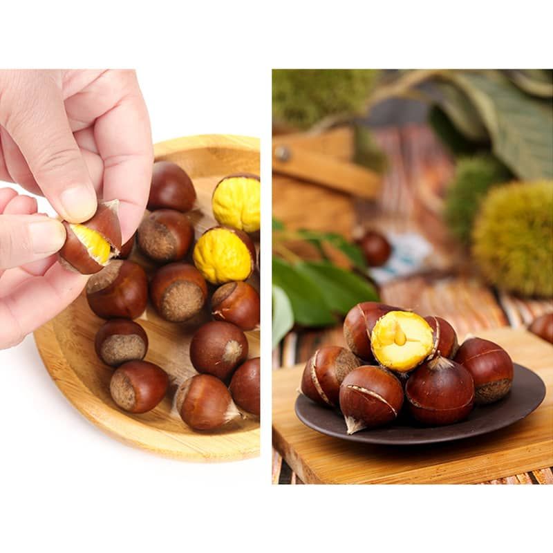 Chestnut Shelling Artifact Wood Nut Cracker Sheller Chestnut Quick Chestnut Cutter Nut Opener Sheller Walnut Pliers Kitchen Gadg