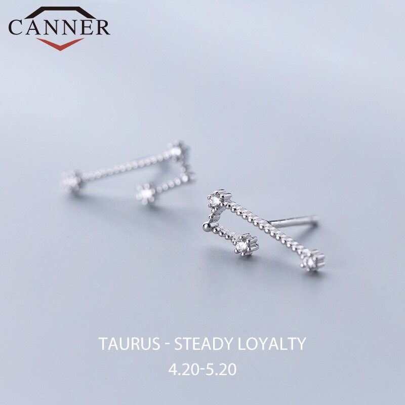 12 konstellation Kleine Frische Minimalistischen CZ Zirkon Ohrringe für Frauen 925 Sterling silber nette Stud Ohrringe Geburtstag: Taurus