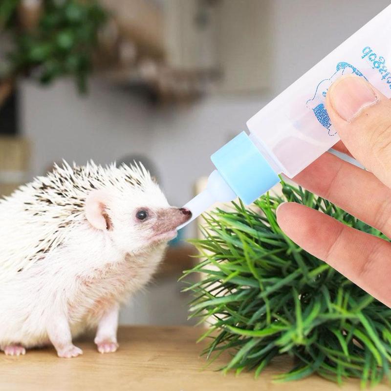 60ml valpar kattunge nappflaska husdjur hund katt bady ammande vatten mjölk djur baby matare med rengöringsborste slumpmässig färg 6 stycken