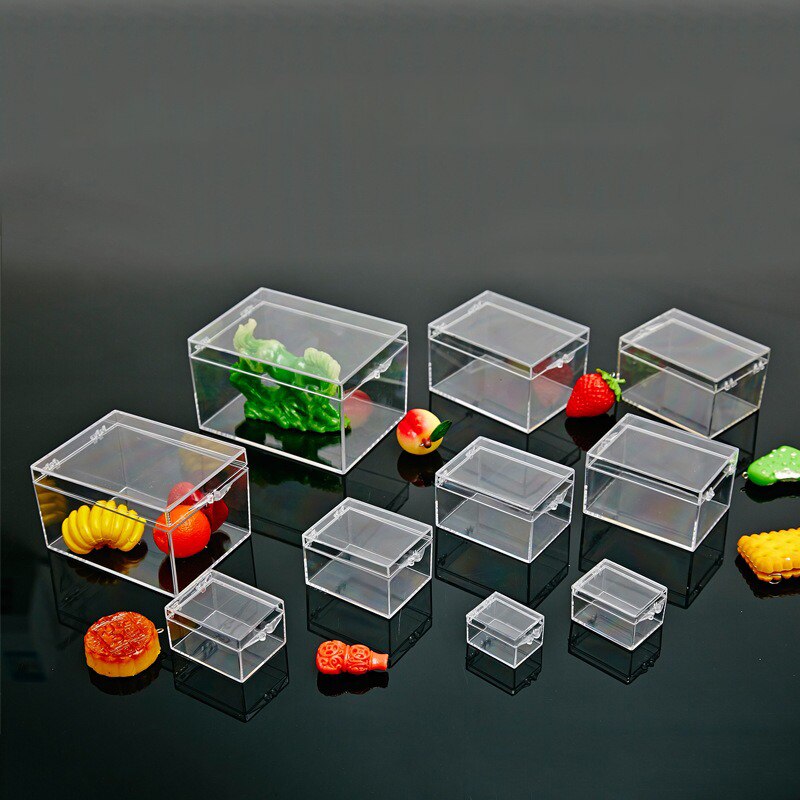 12 Size Insect Specimen Collectie Display Box Transparant Pc Opbergdoos Met Gesp Shell Specimeninzameling Display Box