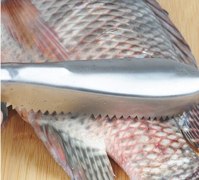 Cepillo de escamas de pescado de acero inoxidable, utensilio de cocina para pesca, herramienta para limpiar piel de pescado.