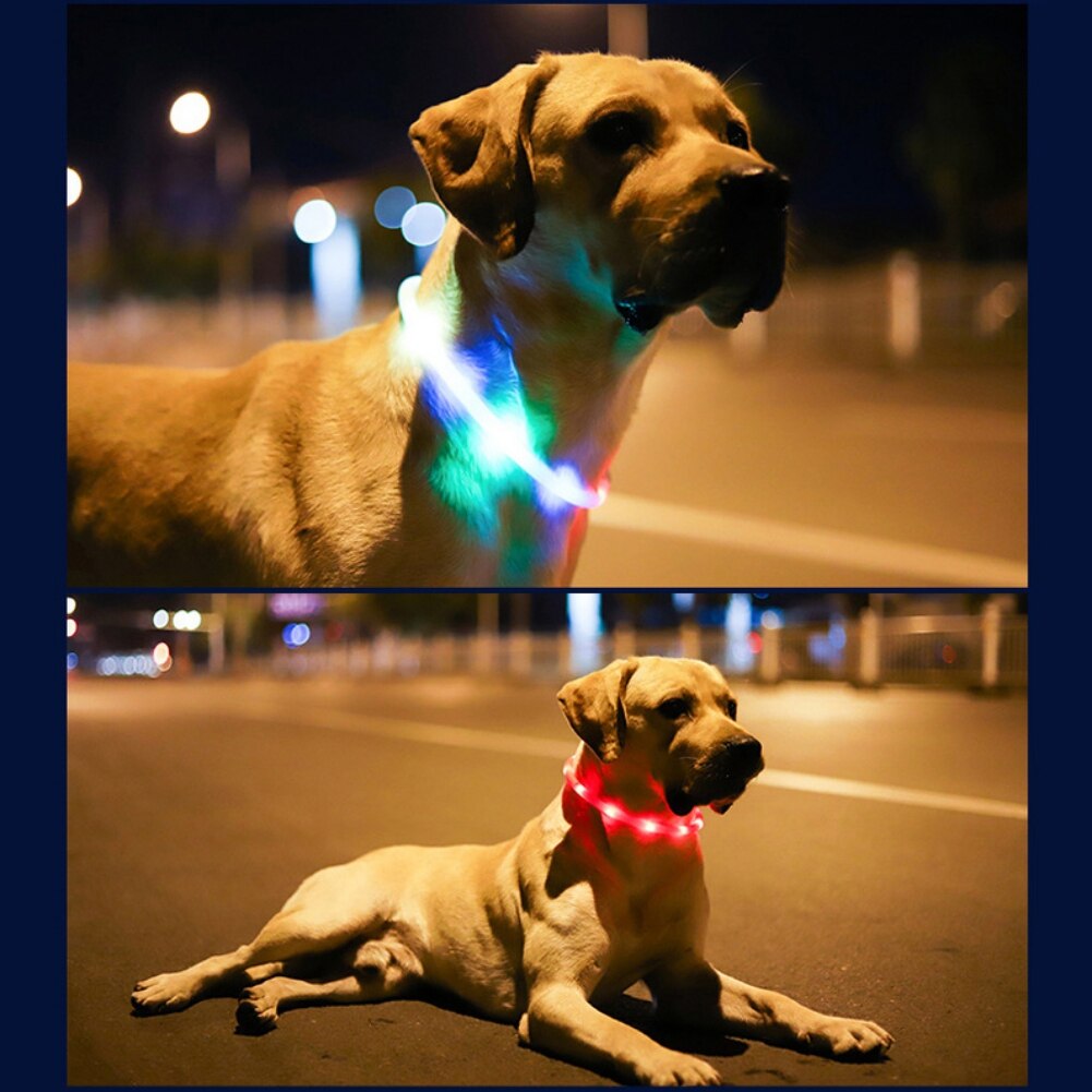 Pet Dog LED Collar USB Rechargeable Luminous Flashing Collar Pet Necklace Outdoor Glowing Walking Night Safety Accessories