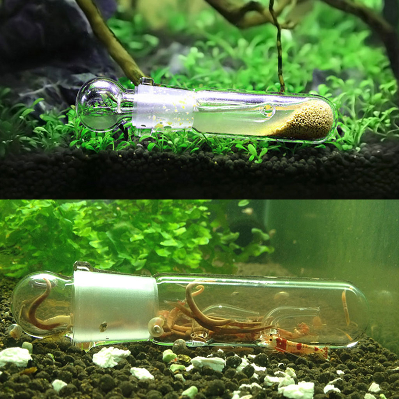 Piège antiparasitaire Vivarium pour Aquarium, piège à crevettes, ver, Planaria
