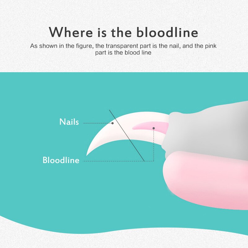 Pet Dog Nail Clipper Scissors Pet Dog Cat Nail Toe Claw Clippers Scissors Trimmer For Dogs Grooming Tool Supplies