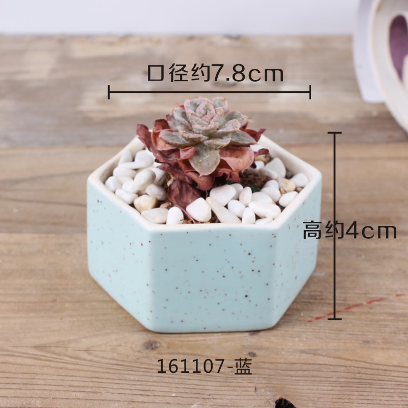 Maceta de cerámica pequeña y fresca con flor carnosa de JQWORV, macarrones arcoíris, macetero de dedo, plantación verde, adornos de escritorio, maceta: 2