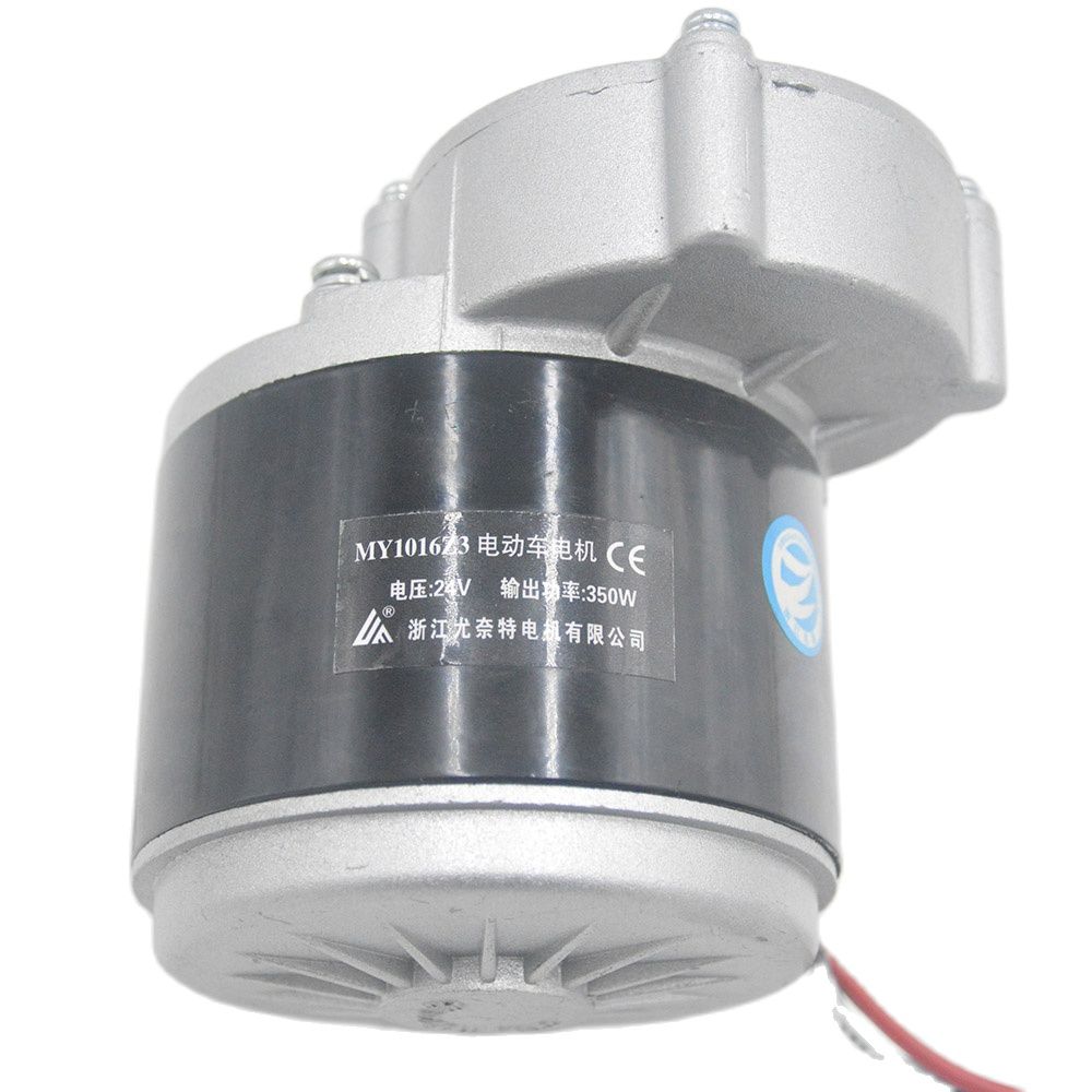 24V/36V 350W Electric Bike Tricycle Brush DC Motor Gear Brushed Motor for E bike motorcycle electric scooter