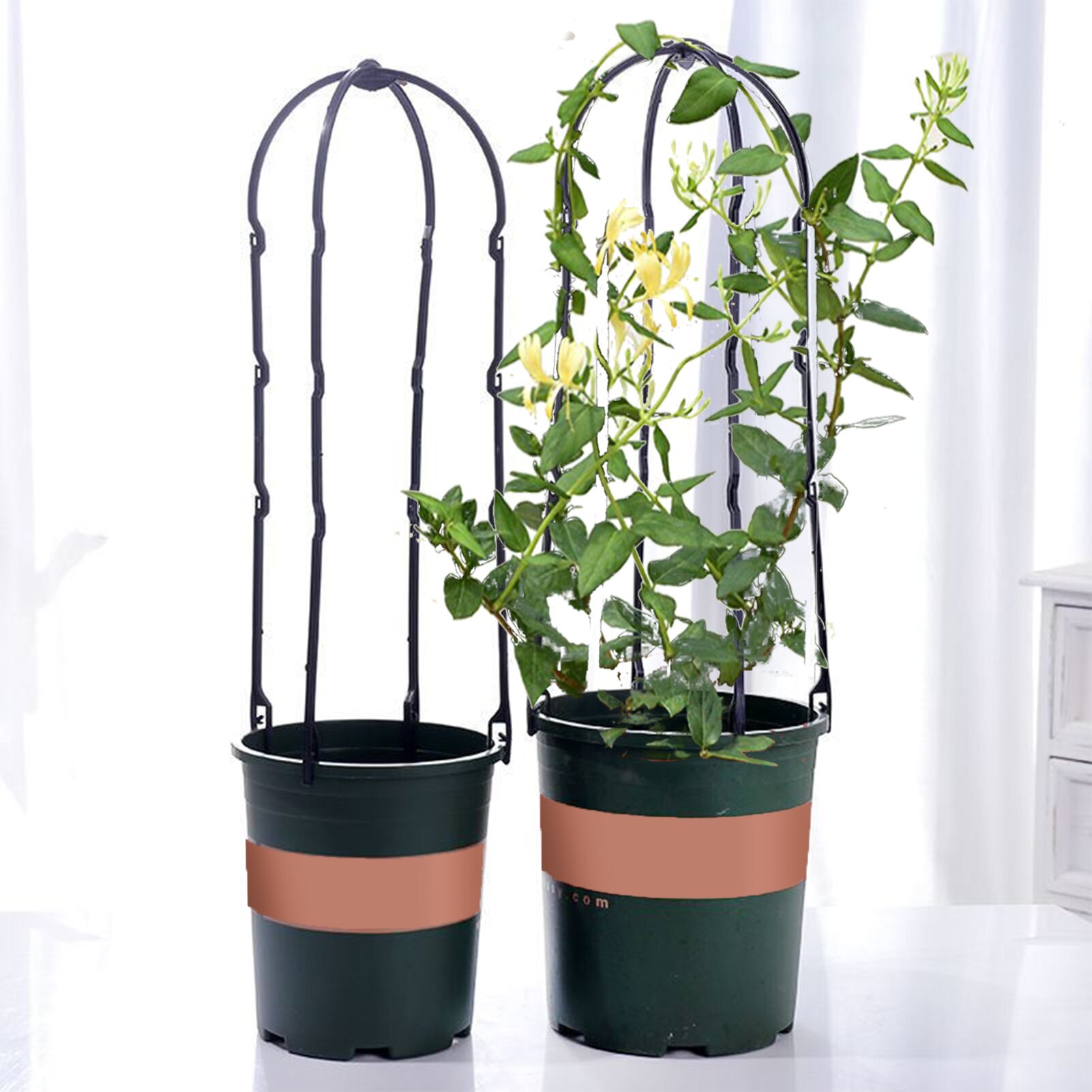 10PCS Climbing Vine Rack Plant Potted Support Frame Flower Vegetables DecorativeTrellis Garden Plant Pot Obelisks Bracket