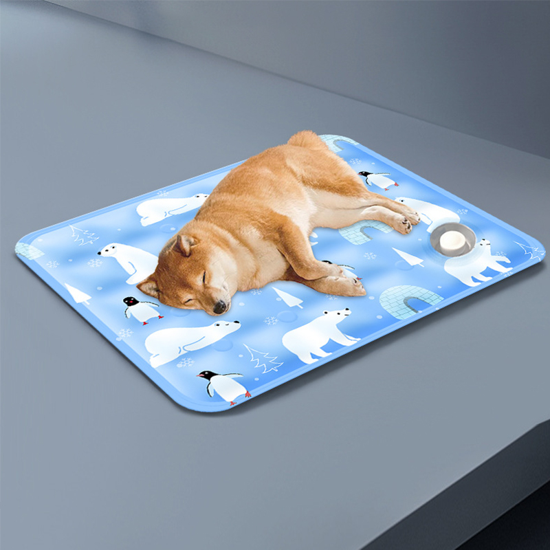 Hond Kat Ijs Kussen Zomer Koeling Gel Mat Water Kussen Huisdier Cool Duurzaam Deken Sofa Ijs Mat Deken Slaapzaal Ijs Mat