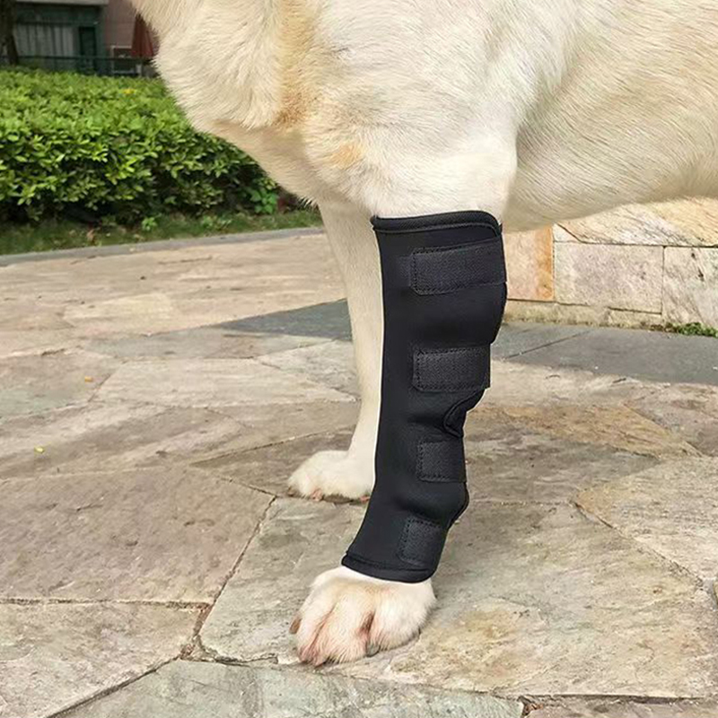 Aquecedores de pernas para cães, cinta auxiliar conjunta para animais de estimação, barril longo, dedicado à recuperação pós-operatória, suporte de fixação ajustável para cães grandes