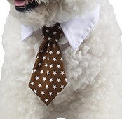 Pet Dog Cat Formal Necktie Tuxedo Bow Tie Black Cute Red Collar for Dog Cat Pet Accessories Suit for Small Medium Dogs and Cats: coffee star / S